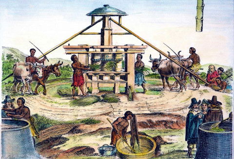 African Slaves In The Caribbean African Slaves In The Caribbean
